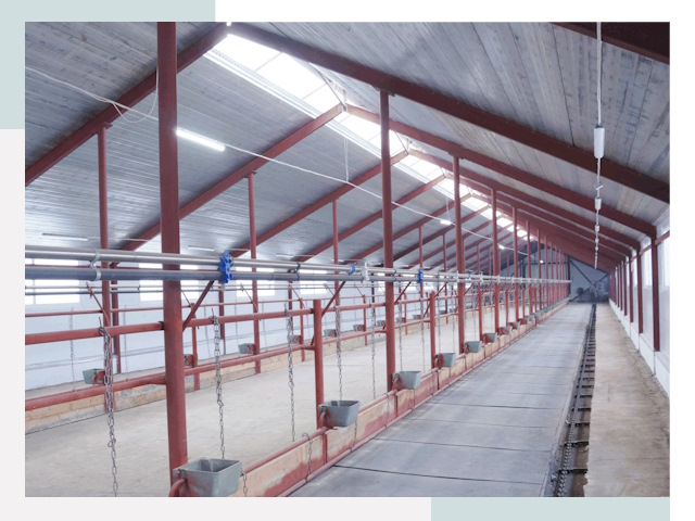 Строительство коровников в Боровичах от 625 руб.