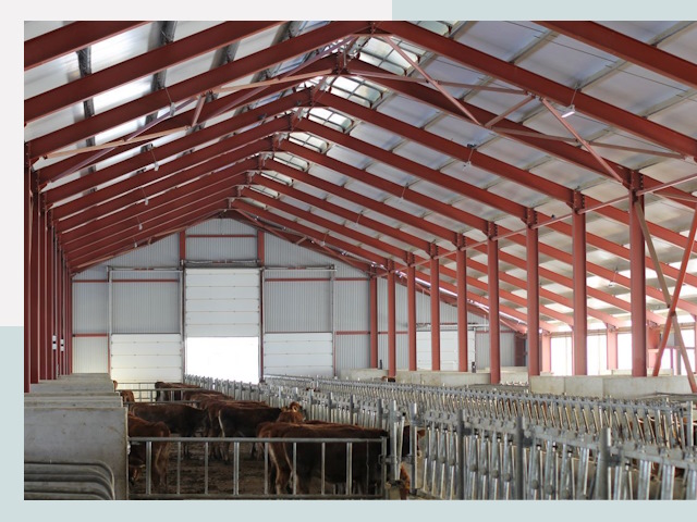 Строительство коровников в Боровичах