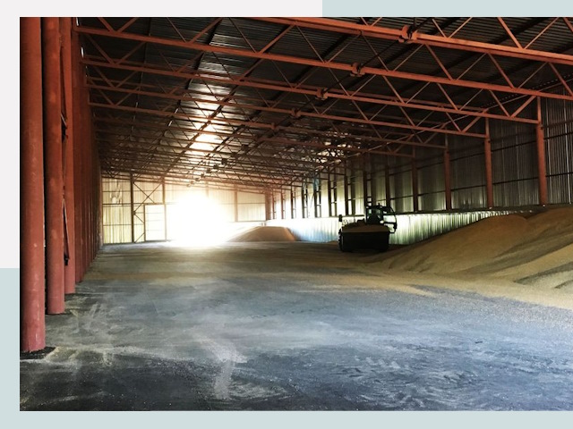 Строительство зернохранилищ в Боровичах