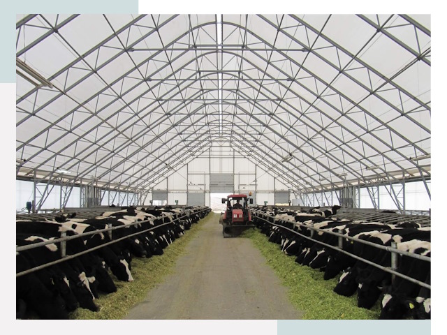 Тентовые коровники в Боровичах от 625 руб. - Надежно и доступно